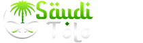 LOGO SAUDITOTO